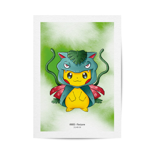 Pikachu poncho Florizarre